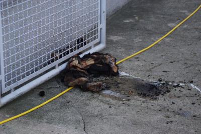 Stuttgart Bad Cannstatt: Adventsgesteck in Brand geraten